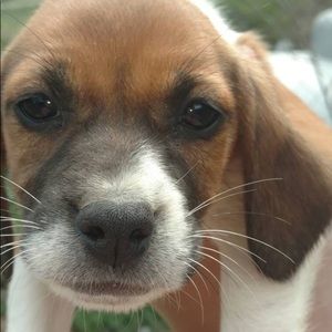 Meet your Posher, Karma